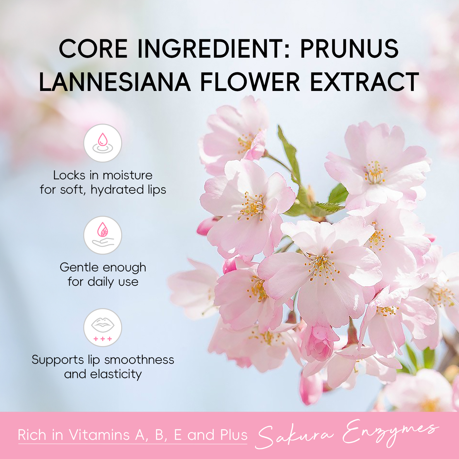 LAIKOU Japan Sakura Hautpflege – Korean Skincare Routine Bewertung und Preis